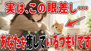 人間関係に疲れたあなたへ。猫が教えてくれる、なぜか心が軽くなる『10の小さな秘密』【猫雑学】
