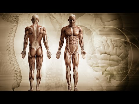 Decontaminarea corpului uman, Detoxifierea: o cură sau un mod de viață?