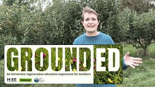 GroundEd Advert