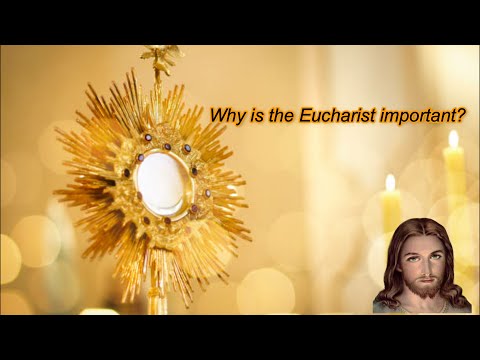 The Eucharist : The source and summit of the Christian life.