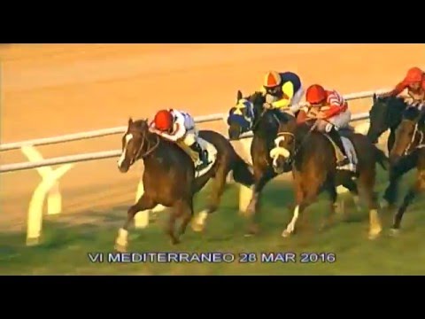 Galoppo Corse del 28 Marzo 2016