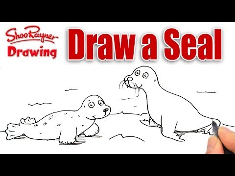 How to draw a Seal and a Sea Lion