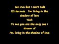 Celine Dion- Shadow Of Love With Lyrics