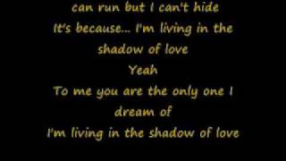 Celine Dion- Shadow Of Love With Lyrics