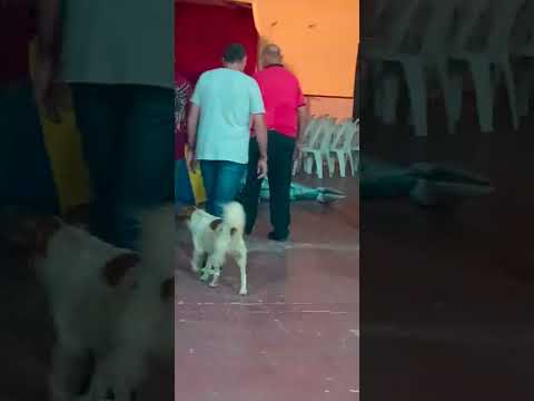 CAFÉ CON LECHE llegó a Los Zorros