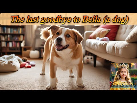 Last Goodbye to Bella (a dog) l Pet animals l Areeba Anam Vlogs