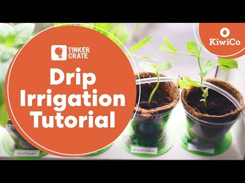 Part of a video titled Make a Drip Irrigation System | Tinker Crate Project Instructions | KiwiCo