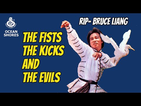 Wu Tang Collection - Fists, Kicks & Evils