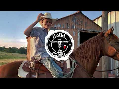 US Agroboy, João Nelore e Texano - Tipo Nelore (STATUS RODEO)
