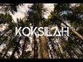 Koksilah Old Growth Forest