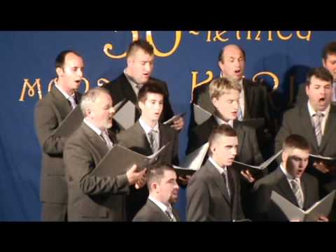 Okoli hišice - MoPZ Karel Virant Braslovče