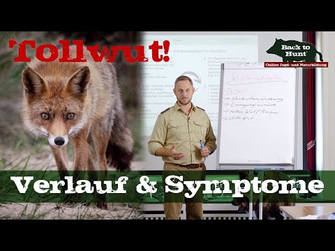 Rabies - Course and Symptoms | Back to Hunt