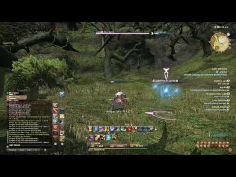 A Realm Reborn (FFXIV) - Lance Of Destiny (Lancer's Guild Lv20 Quest)