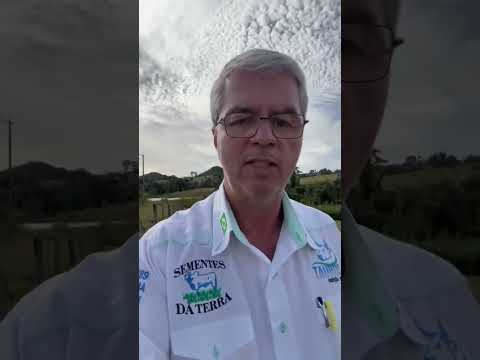 FAZENDA A VENDA NO MUNICÍPIO DE IVOLÂNDIA NO ESTADO DE GOIÁS