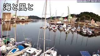 【live】ヨットの高いマストからのライブ映像です。 live webcam