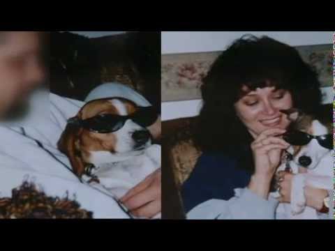 gallery video image