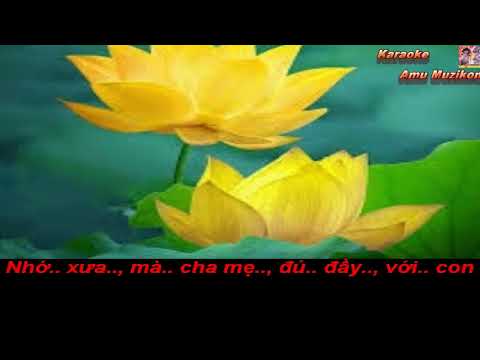 Karaoke Một Áng Phù Vân Bích Phượng