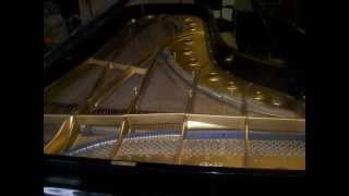 Dick Hyman plays Duke Ellington - Gal from Joe's