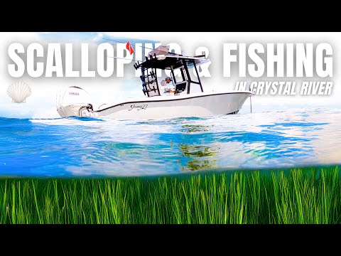 Fishing, Scalloping & Exploring Florida’s Hidden Paradise... Crystal River!