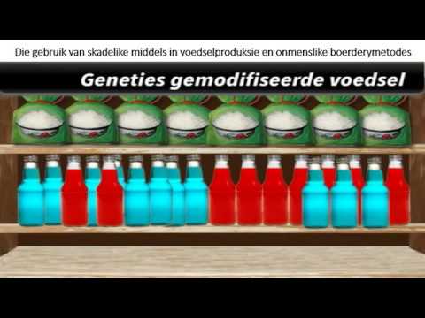 LO GRAAD 11: 4 Mei 2020 - periode 8 (04118)