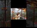 Family Trip Surya Jyothika S Adventures Trip International Trip Holidays Vacational Trip