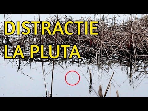 PESCUIT IARNA LA PLUTA CU TRASATURI FRUMOASE