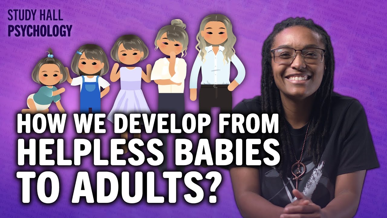Stages of Human Development | Introduction to Psychology 13 of 30 | Study Hall