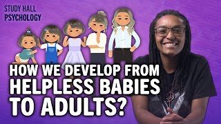 Stages of Human Development | Introduction to Psychology 13 of 30 | Study Hall