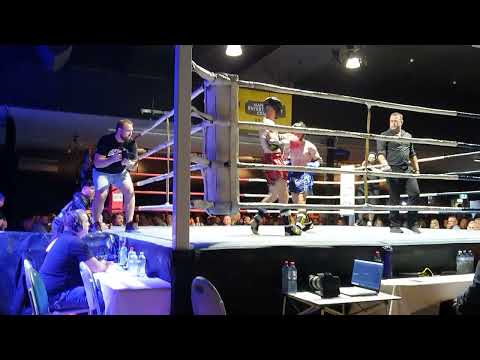 FIGHTERS HAVEN ORLANDO NAGY destiny title