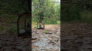 Download lagu 8 Jun 2023 mp3 Download lagu 8 Jun 2023 mp3