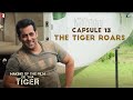 Making Of The Film - Ek Tha Tiger | Capsule 13: The Tiger Roars | Salman Khan
