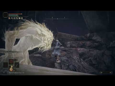 Elden Ring DLC RL1 Misbegotten Crusader in Stone Coffin Fissure easy kill