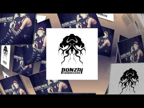 Audio Noir - Cloud Catcher - Original Mix (Bonzai Progressive)