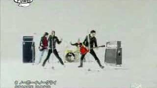 Download lagu Stance Punks- No Boy, No Cry mp3 Download lagu Stance Punks- No Boy, No Cry mp3