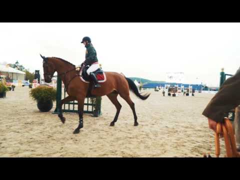 Andreas Gabalier | Hulapalu Chaspara | Horses & Dreams meets Austria