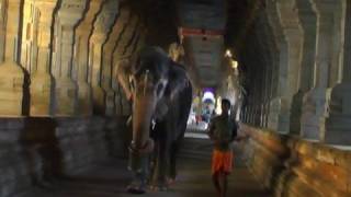Rameshwaram Temple Corridor, Tamilnadu