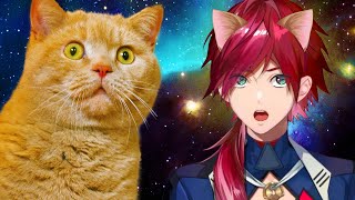 〜 - ローレンがマリカを完全に理解し、宇宙猫になる動画【ローレン・イロアス / にじさんじ / 切り抜き / マリオカート8DX】