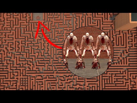 NEVER GO TO MAZE WITH CURSED SCP-096 In Garry's Mod
