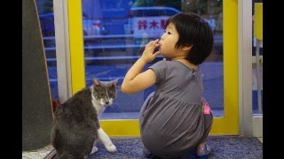 色んな動物癒しのスライドショ~‼️