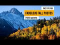 Five Tips for Fabulous Fall Photos