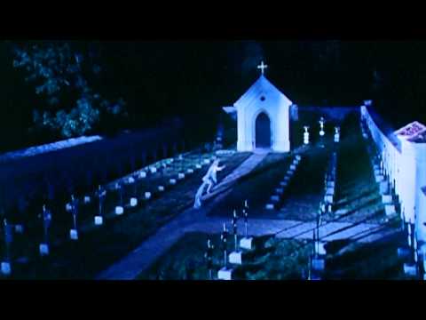 Kytice/Wild flowers (Official music video)