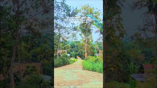 Download lagu nikmati saja hidup #remix #djkaneterbaru #djkane  #music mp3