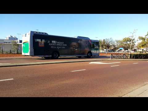 Transperth Volvo B7RLE (Volgren CR228L) TP2401 Arrives @ Stop 13634