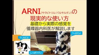Download lagu How to use ARNI in practice (a cardiologist will explain the basics and actual sensations) mp3