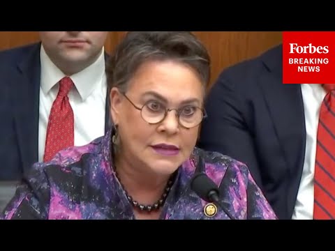 'They Cooked The Books And They Did So Intentionally': Harriet Hageman Sounds Off On 2020 Census