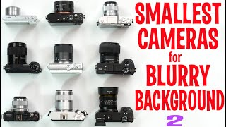 Smallest Interchangeable Lens Cameras for Blurry Background Bokeh 2
