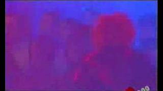 ultimo valzer cuore d'aliante