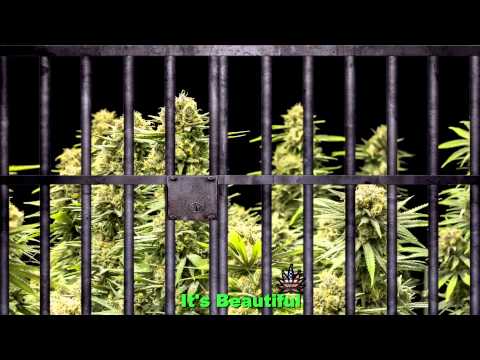 iBake - Official Music Video from Chief Greenbud Volume 4
