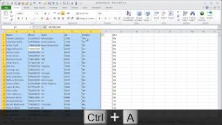 Excel Convert Text to Numbers Keyboard Shortcuts