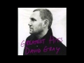 David Gray - "Hospital Food"